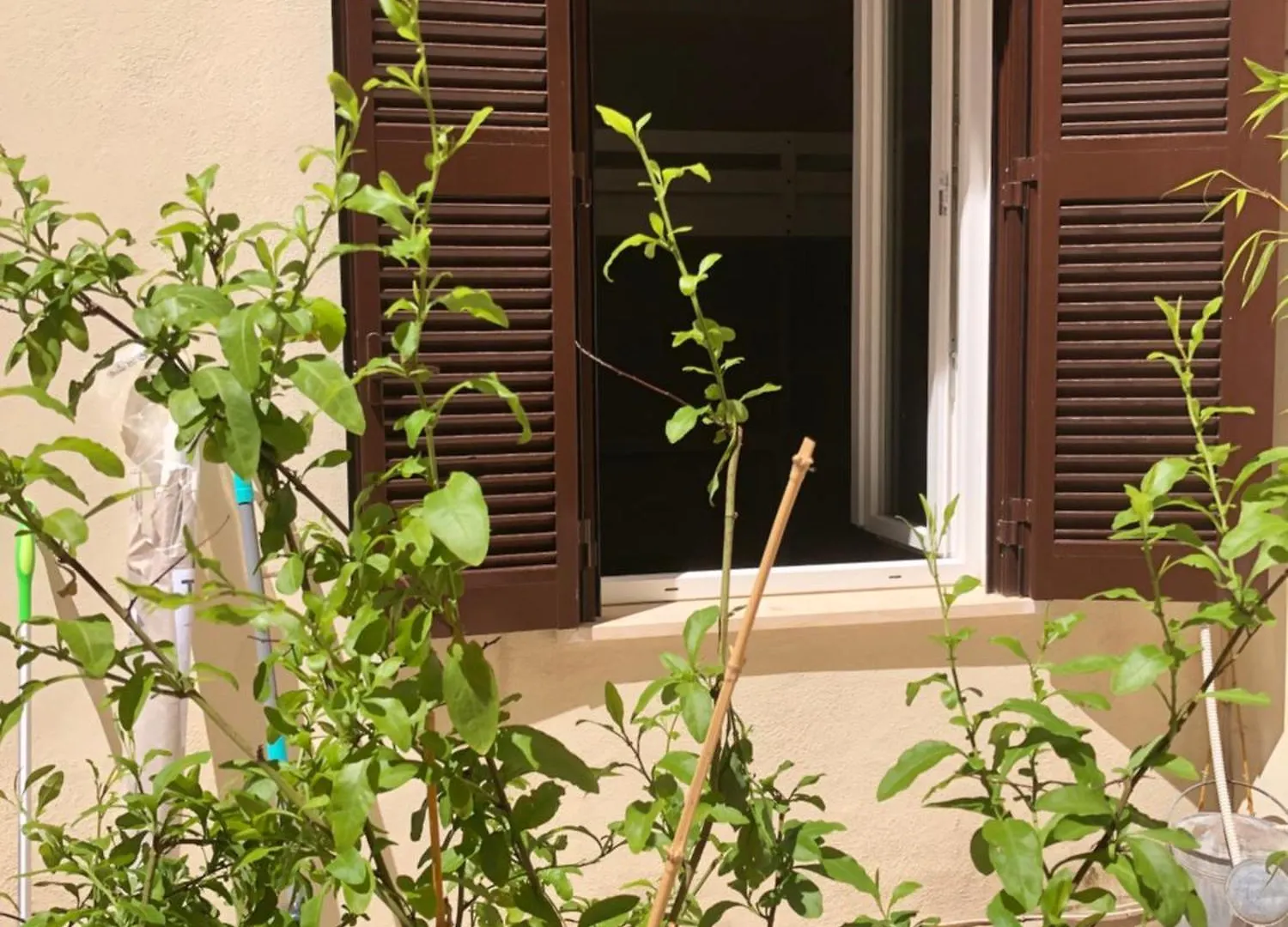 La Casa Nel Cortile Apartment Rome